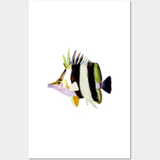 Flutterby, Butterfly Fish Posters and Art